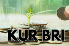 KUR Online Gagal? Ini Cara Offline yang Terbukti Lebih Mudah Cair, Cek Selengkapnya Disini