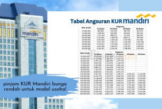 KUR Mandiri 100 Juta Bisa Banget Kamu Dapetin! Penuhi Syarat dan Ajukan, Bantu Bisnis UMKM Berkembang Pesat...