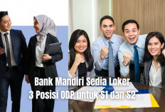 Bank Mandiri Sedia Loker 3 Posisi ODP untuk S1 dan S2, Segera Lamar Sebelum 6 Juni 2025!