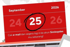 Ribuan Manajer Kopdes Kecewa Penempatan Acak, Banyak yang Siap Ajukan Putus Kontrak?
