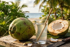 Jangan Asal Teguk, Ini Jam Terbaik Minum Air Kelapa Buat Turunkan Darah Tinggi Menurut Ahli