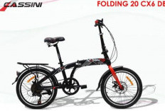 Sayang Anak, Ini 3 Rekomendasi Sepeda Lipat Aman, Ringkas, dan Terjangkau untuk Remaja dengan Desain Stylish!