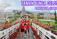 Ingin Liburan yang Asyik dan Murah? Yuk, Kunjungi Taman Bunga Celosia di Semarang! 