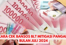 Cair Bulan Juli 2024! ini Cara Cek Bansos BLT Mitigasi Resiko Pangan Menggunakan Hp, Cek Disini...