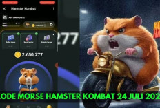 Exited! Kode Morse Hamster Kombat 24 Juli 2024 Sudah Rilis, Siap Dapatkan Mata Uang Kripto? ini Bocorannya... 