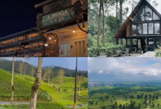 Eksplorasi Bandung Raya! Rekomendasi Tempat Wisata Hits & Hidden Gems 2025