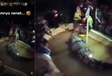 Nyaris Putus! Viral Video Tangan Seorang Kakek Diterkam Buaya di Gowa Usai Ngaku Keturunan, Warga Histeris