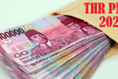 Cek di Sini! Daftar Lengkap Komponen THR 2024 dan Gaji ke-13 PNS, Berapa Bakal Diterima?
