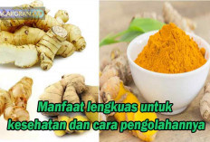 Lengkuas: Rempah Ajaib dengan 17 Manfaat yang Jarang Diketahui