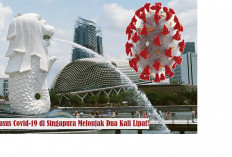 Mau Liburan ke Singapura? Hindari Berkunjung di Bulan Ini, Puncak Gelombang Baru Covid-19!