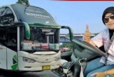  Driver Cantik Bawa Bus Lebih ' Gampang', Malah Tak Bisa Kendarai Mobil Kecil, Bagaimana Ceritanya?