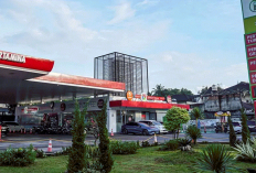 Harga BBM hari ini, Rabu, 24 Juni 2026: Pertamina, Shell, Vivo, dan BP kompak naik atau tetap?