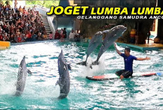 7 Hewan Dengan Kemampuan Unik Dapat Bergerak di Atas Air Tanpa Tenggelam, Apa Aja?