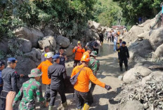 Cuaca Ekstrem Picu Banjir Bandang Humbang Hasundutan, BNPB: 5 Korban Jiwa, 4 Hilang 