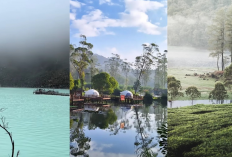 3 Wisata Ciwidey Terpopuler: Kawah Putih, Ranca Upas, dan Situ Patenggang yang Wajib dikunjungi!