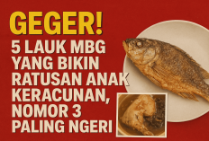 Bikin Heboh Sekolah, 5 Lauk Makan Bergizi Gratis Ini Ternyata Sering Bikin Sakit Perut, Wajib Hati-hati Nih!