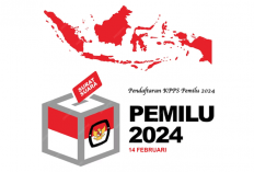 Ikut Berkontribusi dalam Demokrasi dengan KawalPemilu 2024, Begini Caranya 