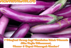 7 Manfaat dan Jenis Terong bagi Kesehatan Tubuh Manusia, Nomor 6 Dapat Mencegah Penyakit Mematikan Ini...