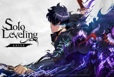 Game RPG Baru Nih Guys! 10 Kode Redeem Solo Leveling : Arise 21 Mei 2024, Klaim Hadiah Special Hanya Hari ini