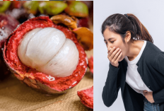 Benarkah Buah Manggis Aman Untuk Asam Lambung? Yuk Simak 15 Fakta dan Mitosnya Disini, No 5 Bikin Syok!