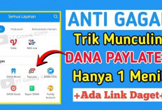 Cara Daftar DANA PayLater Terbaru 2025, Aktivasi Mudah Limit Langsung Siap Dipakai