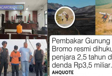 Pembakaran Gunung Bromo, Wedding Organizer Divonis Lebih Ringan dari Tuntutan
