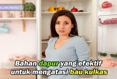 Kamu Mungkin Tidak Percaya, 3 Bahan Dapur Ini Ampuh Hilangkan Aroma Bau di Kulkas