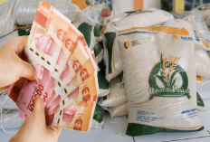 Jangan Nyesel! Ini Jadwal dan Cara Dapat Bansos Beras dan Sembako Rp200 Ribu Bulan Juni-Juli 2025