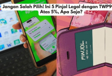 Jangan Salah Pilih! Ini 5 Pinjol Legal dengan TWP90 di Atas 5%, Apa Saja?