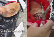 Teror Kiriman Kepala Babi ke Kantor Tempo, Netizen Kritik Keras Respon Istana