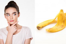 Saat Lebaran Wajah Bisa Glowing Meski Tanpa Make Up Mahal, Kata dr. Zaidul Akbar Cukup Makan Kulit Buah Ini!