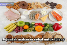 7 Makanan yang Wajib Dikonsumsi untuk Para Lansia supaya Tulang Tidak Keropos