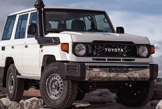 Bukan Cuma Dipakai, 10 Mobil Bekas Ini Justru Makin Mahal! Civic Estilo, Jimny hingga Land Cruiser Jadi Rebuta