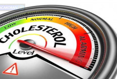 Kolestrol Minggat, Coba Konsumsi Jenis Kacang-kacangan Ini! 