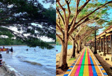Pantai Nambo Kendari Tampil Baru, Wisata Kekinian yang Instagramable, Cocok buat Liburan Bersama Keluarga 