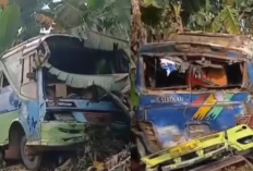 Bus Pelajar Ringsek Usai Ditabrak Truk di Bungo Jambi, Ini Kronologi Kejadian!