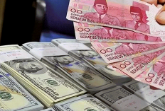 Dolar AS Diprediksi Tetap Mendominasi Pasar Valas Global pada Semester II 2026