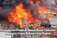 Permukiman Padat di Sawah Besar Jakarta Pusat Terbakar, Kerugian Capai Ratusan Juta Rupiah