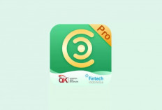 Berikan KTP! Modal Usaha 20 Juta dari Pinjol Cashcash Pro Siap Meluncur Bunga Hanya 0,5%, Penuhi Syaratnya...