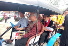Diarak Hingga Naik Odong-Odong, Semarak Pengukuhan Tujuh Guru Besar 