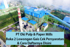 BARU! 2 Loker PT Oki Pulp & Paper Mills Lagi Pembukaan Sekarang Gais, Cek Cara Daftarnya Disini!
