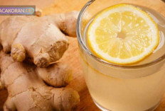 Minuman Hangat, Sahabat Setia di Musim Penghujan
