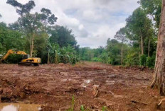 Tak Ada Sosialisasi, Warga Pertanyakan Pembangunan Hauling Batu Bara