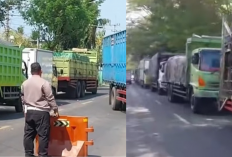 Kemacetan Parah Jalur Situbondo–Banyuwangi: Ekor Antrean Capai Hutan Baluran!