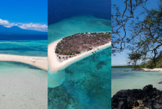 Menjangan, Tabuhan, dan Bama! Trio Wisata Alam Banyuwangi yang Bikin Takjub