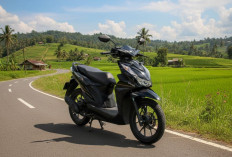 Honda Beat 125 NX Resmi Meluncur, Skutik Idola dengan Teknologi Modern dan Harga Ramah Kantong