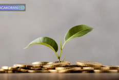 Meski Dihadapkan dengan Pemilu, Kemenko Perekonomian Minta Investor Tetap Berinvestasi 