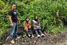 Di Jalan  yang Sepi 2 Guru Perempuan Dihadang 3 Begal Bertopeng, Pelaku Rampas Motor, Begini Keterangan Warga