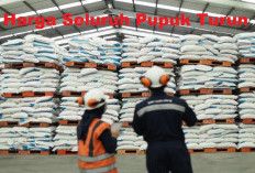 Perintah Presiden Prabowo! Pupuk Urea dan NPK Turun 20%, Berlaku Mulai Kapan?