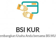 Pengajuan KUR BSI Online Bisa Cair Sampai dengan Rp100 Juta, Lengkapi Syarat ini...